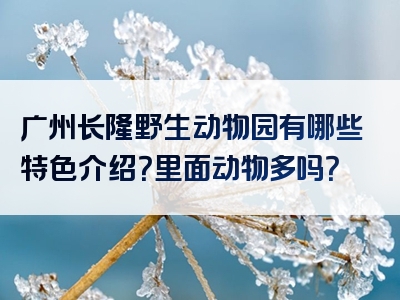 广州长隆野生动物园有哪些特色介绍？里面动物多吗？