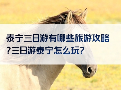 泰宁三日游有哪些旅游攻略？三日游泰宁怎么玩？