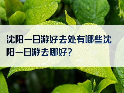 沈阳一日游好去处有哪些沈阳一日游去哪好？