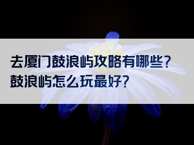 去厦门鼓浪屿攻略有哪些？鼓浪屿怎么玩最好？