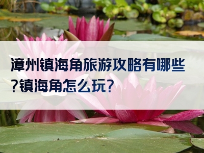 漳州镇海角旅游攻略有哪些？镇海角怎么玩？