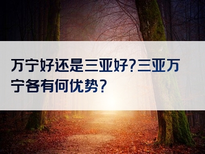 万宁好还是三亚好？三亚万宁各有何优势？