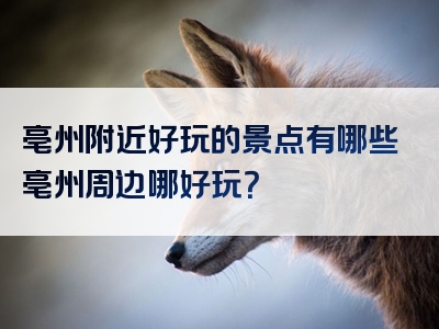 亳州附近好玩的景点有哪些亳州周边哪好玩？