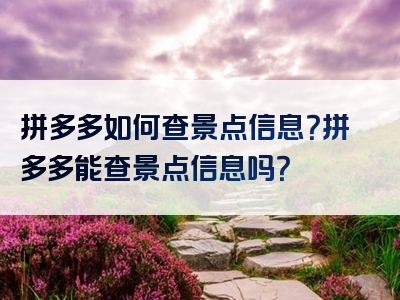 拼多多如何查景点信息？拼多多能查景点信息吗？