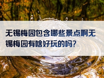 无锡梅园包含哪些景点啊无锡梅园有啥好玩的吗？