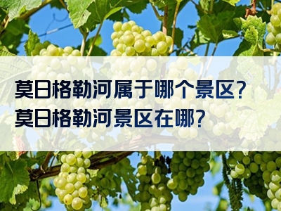 莫日格勒河属于哪个景区？莫日格勒河景区在哪？