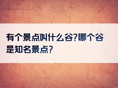 有个景点叫什么谷？哪个谷是知名景点？