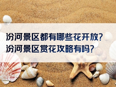 汾河景区都有哪些花开放？汾河景区赏花攻略有吗？
