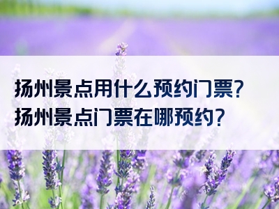 扬州景点用什么预约门票？扬州景点门票在哪预约？