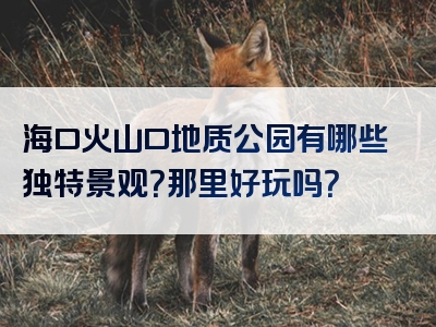 海口火山口地质公园有哪些独特景观？那里好玩吗？