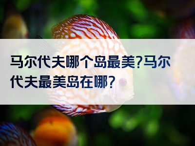 马尔代夫哪个岛最美？马尔代夫最美岛在哪？
