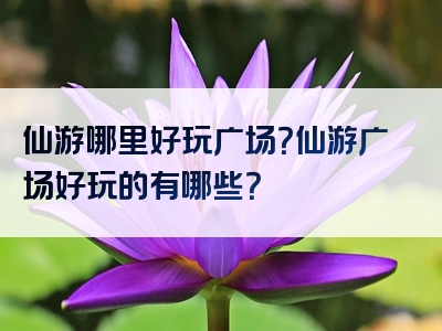 仙游哪里好玩广场？仙游广场好玩的有哪些？