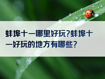 蚌埠十一哪里好玩？蚌埠十一好玩的地方有哪些？
