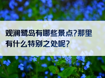 观澜鹭岛有哪些景点？那里有什么特别之处呢？