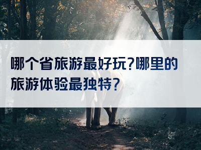 哪个省旅游最好玩？哪里的旅游体验最独特？