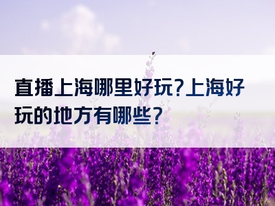 直播上海哪里好玩？上海好玩的地方有哪些？