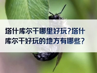 塔什库尔干哪里好玩？塔什库尔干好玩的地方有哪些？