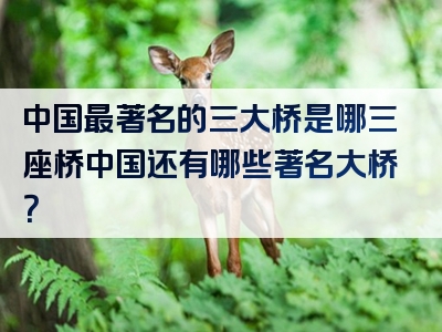 中国最著名的三大桥是哪三座桥中国还有哪些著名大桥？