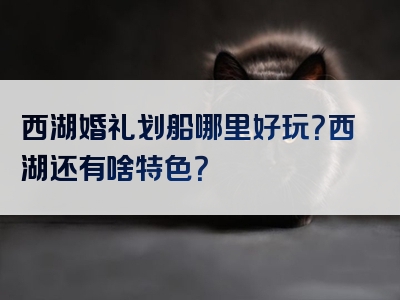 西湖婚礼划船哪里好玩？西湖还有啥特色？