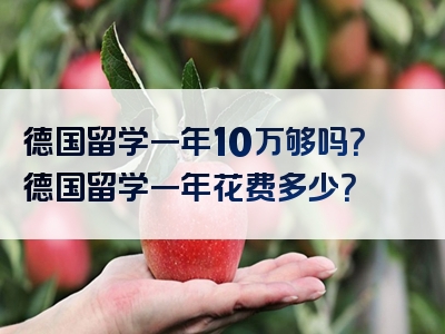 德国留学一年10万够吗？德国留学一年花费多少？