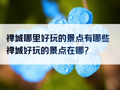 禅城哪里好玩的景点有哪些禅城好玩的景点在哪？