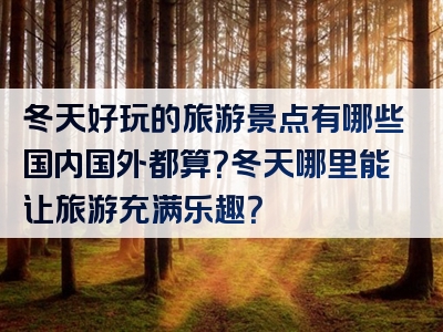 冬天好玩的旅游景点有哪些国内国外都算？冬天哪里能让旅游充满乐趣？