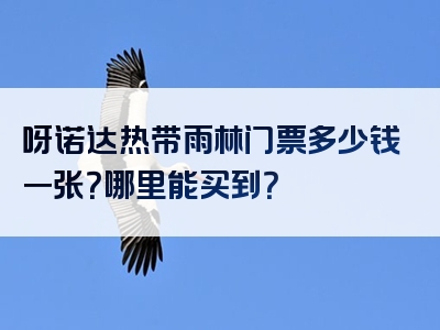 呀诺达热带雨林门票多少钱一张？哪里能买到？