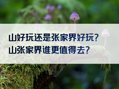 崀山好玩还是张家界好玩？崀山张家界谁更值得去？
