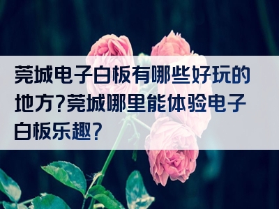 莞城电子白板有哪些好玩的地方？莞城哪里能体验电子白板乐趣？
