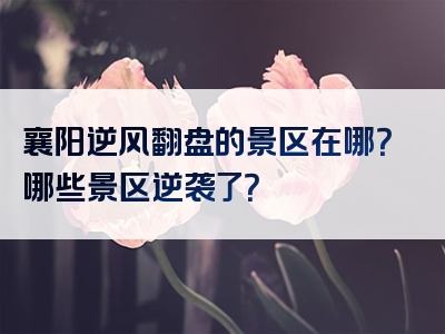 襄阳逆风翻盘的景区在哪？哪些景区逆袭了？