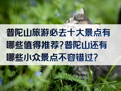 普陀山旅游必去十大景点有哪些值得推荐？普陀山还有哪些小众景点不容错过？