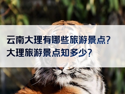 云南大理有哪些旅游景点？大理旅游景点知多少？