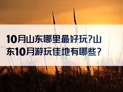 10月山东哪里最好玩？山东10月游玩佳地有哪些？