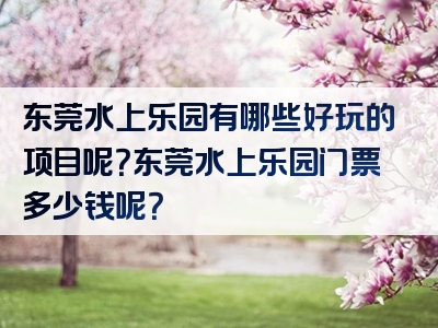 东莞水上乐园有哪些好玩的项目呢？东莞水上乐园门票多少钱呢？