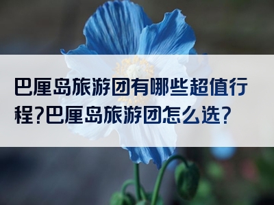 巴厘岛旅游团有哪些超值行程？巴厘岛旅游团怎么选？
