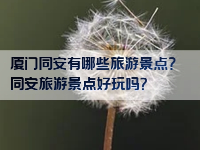 厦门同安有哪些旅游景点？同安旅游景点好玩吗？