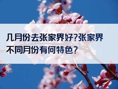 几月份去张家界好？张家界不同月份有何特色？