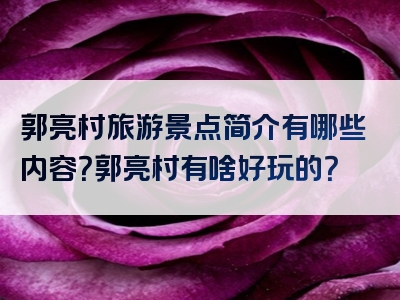 郭亮村旅游景点简介有哪些内容？郭亮村有啥好玩的？