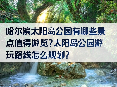 哈尔滨太阳岛公园有哪些景点值得游览？太阳岛公园游玩路线怎么规划？