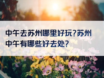 中午去苏州哪里好玩？苏州中午有哪些好去处？