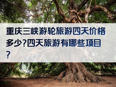 重庆三峡游轮旅游四天价格多少？四天旅游有哪些项目？