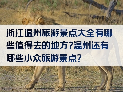 浙江温州旅游景点大全有哪些值得去的地方？温州还有哪些小众旅游景点？