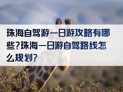 珠海自驾游一日游攻略有哪些？珠海一日游自驾路线怎么规划？