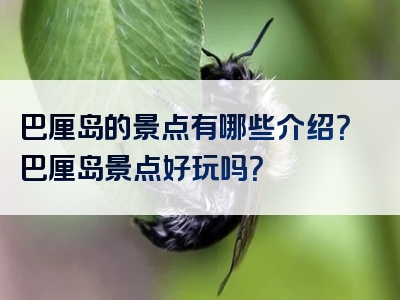 巴厘岛的景点有哪些介绍？巴厘岛景点好玩吗？