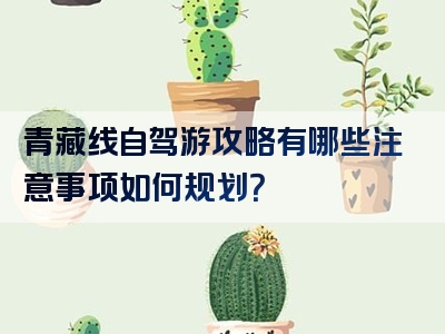 青藏线自驾游攻略有哪些注意事项如何规划？