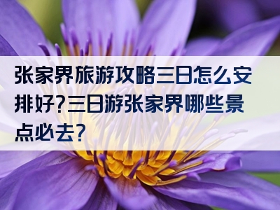 张家界旅游攻略三日怎么安排好？三日游张家界哪些景点必去？