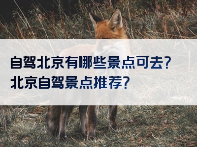 自驾北京有哪些景点可去？北京自驾景点推荐？