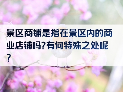景区商铺是指在景区内的商业店铺吗？有何特殊之处呢？