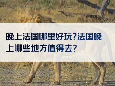 晚上法国哪里好玩？法国晚上哪些地方值得去？