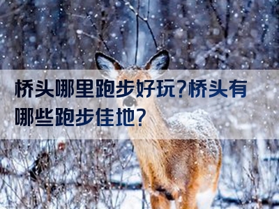 桥头哪里跑步好玩？桥头有哪些跑步佳地？
